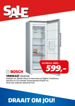 Bosch VRIESKAST GSN29VLEP